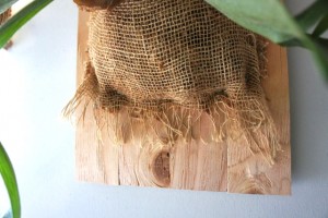 burlap cloth over fern roots