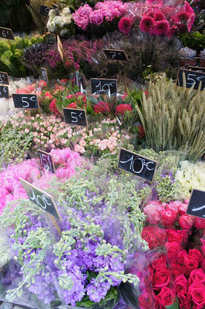 flower shop | photo credit karolina buchner via dearhouseiloveyou.com